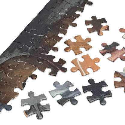 ‘SWAN’ jigsaw puzzle